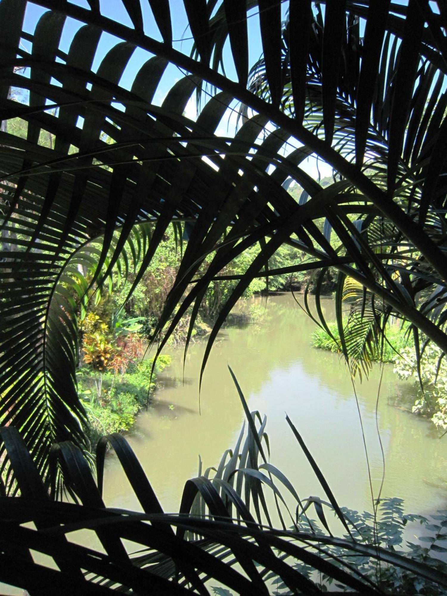Phanom Bencha Mountain Resort Krabi Exterior photo